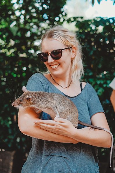 Meeting a Hero Rat at Apopo Centre