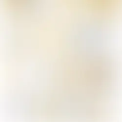 Hermès gamble is a losing game. It will soon be over. Or not?