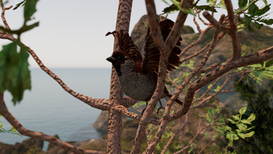 Stage bird fly 283.png