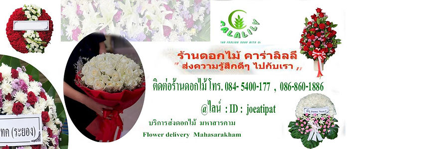 ร้านดอกไม้ มหาสารคามคาร่าลิลี่
