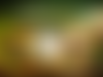 What is the cost breakdown for outsourcing the fulfilment of herbal and Ayurvedic products?