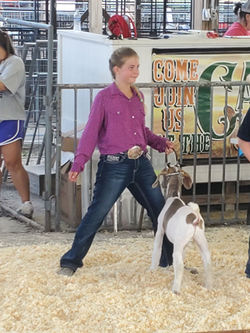 107536540_625141358101425_59609839856164