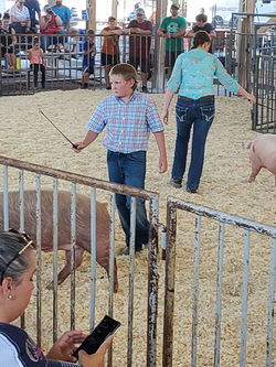 107570916_975020559623020_22812872447491