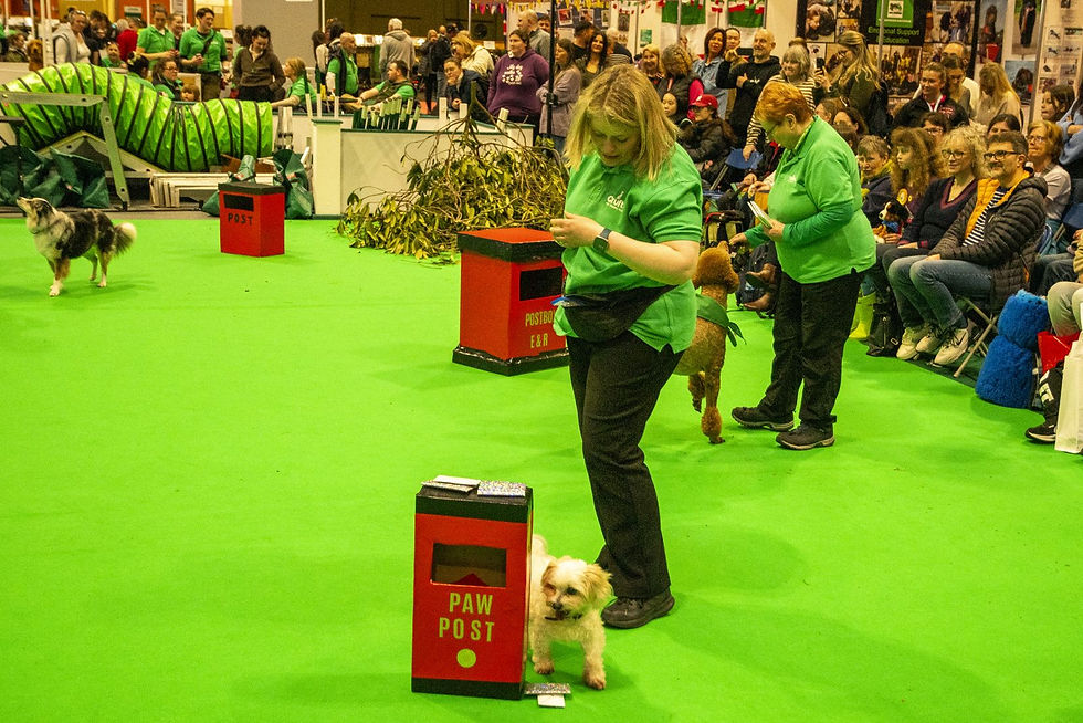 Taking over the postman's job! Photo by Rob Tysall Pro Photography.