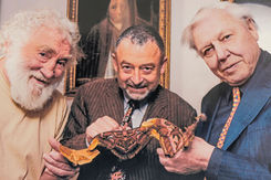 Stratford-upon-Avon Butterfly Farm to celebrate Sir David Attenborough’s 100th birthday!