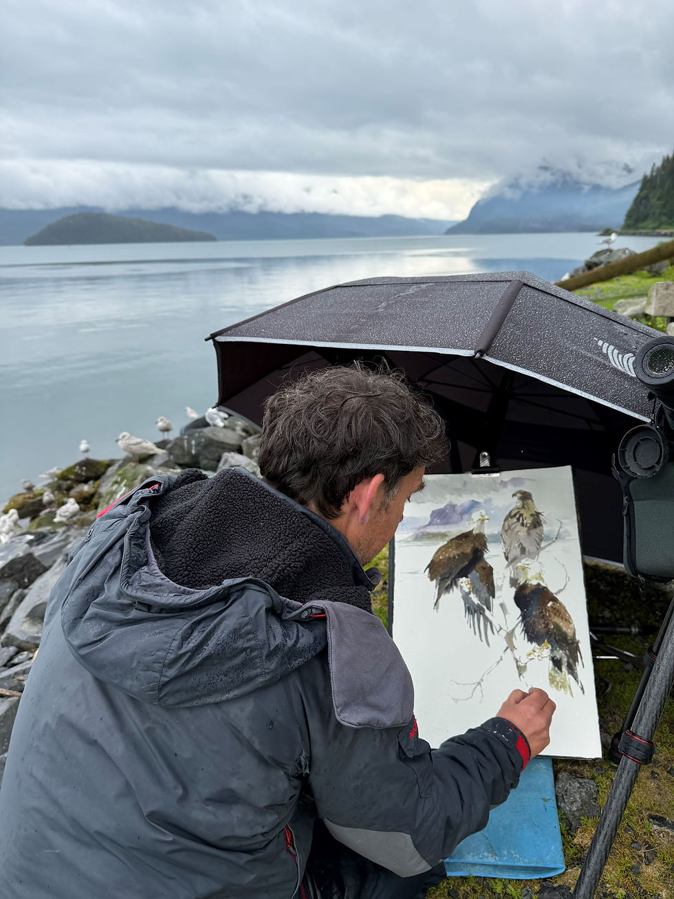 Darren Woodhead rawing a Bald Eagle. Photo courtesy of SWLA.