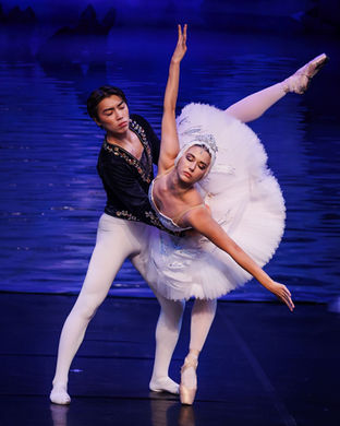 A night at the ballet - Swan Lake