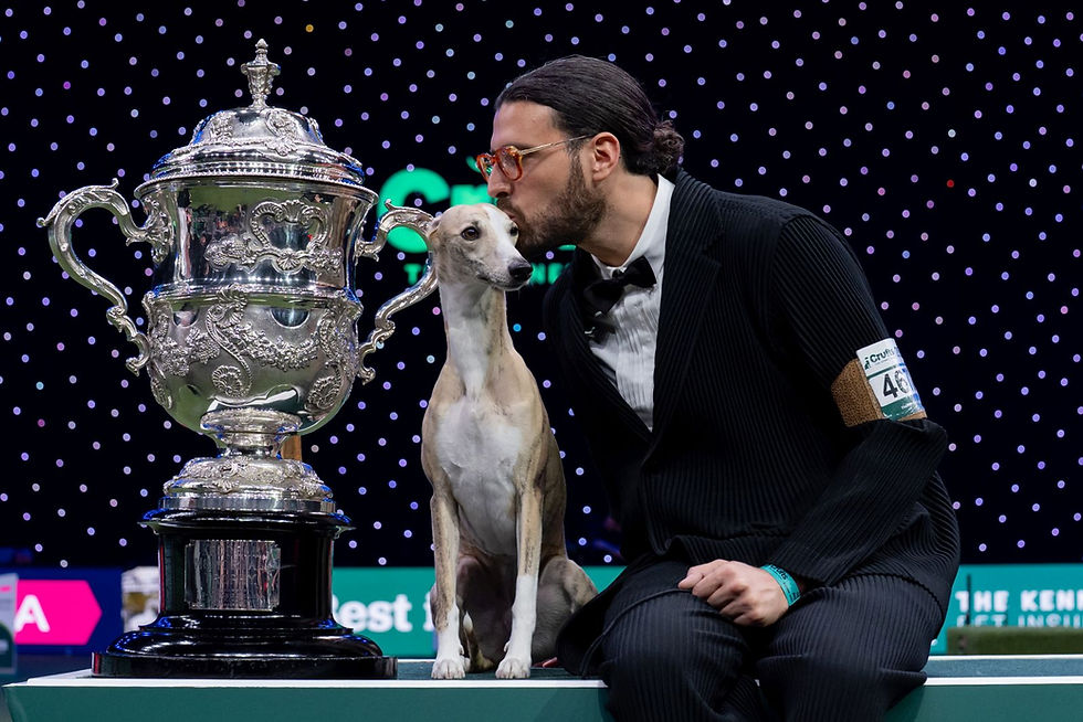 Crufts Best in Show Miuccia with handler Giovanni Liguori. Photo credit BeatMedia/The Kennel Club.