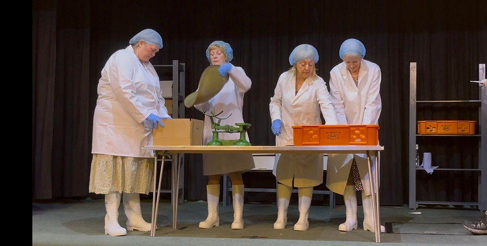 Sara Johnston, Christine Cherry, Penny Roberts and Jill Price. Photo by Tim Greenway.