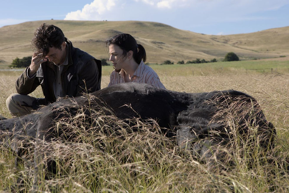 Jack (Ashley Zuckerman) and Layla (Talia Zucker)