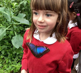 Schoolchildren release 100 butterflies to celebrate Sir David Attenborough's 100th birthday