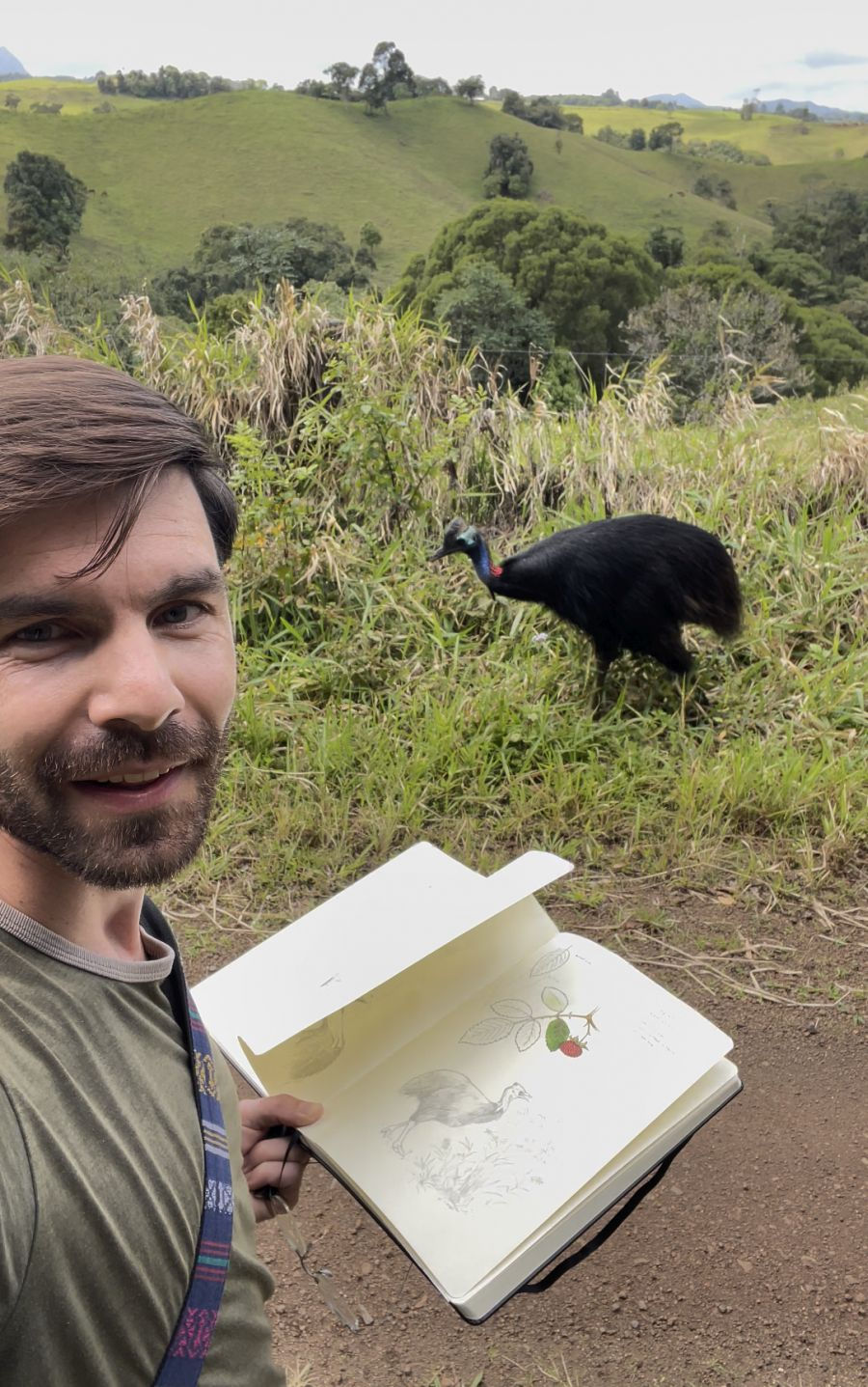 Joris De Raedt ASWLA working in Queensland drawing a Cassowary. Photo courtesy of SWLA.