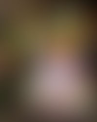 A Pop Culture Extravaganza!