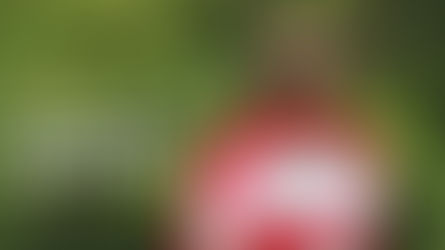 How to Save The Earth with promotional products