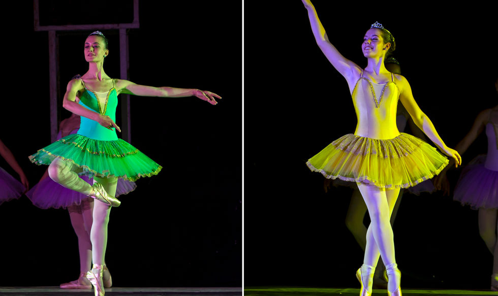 11 giardini 2021.jpg