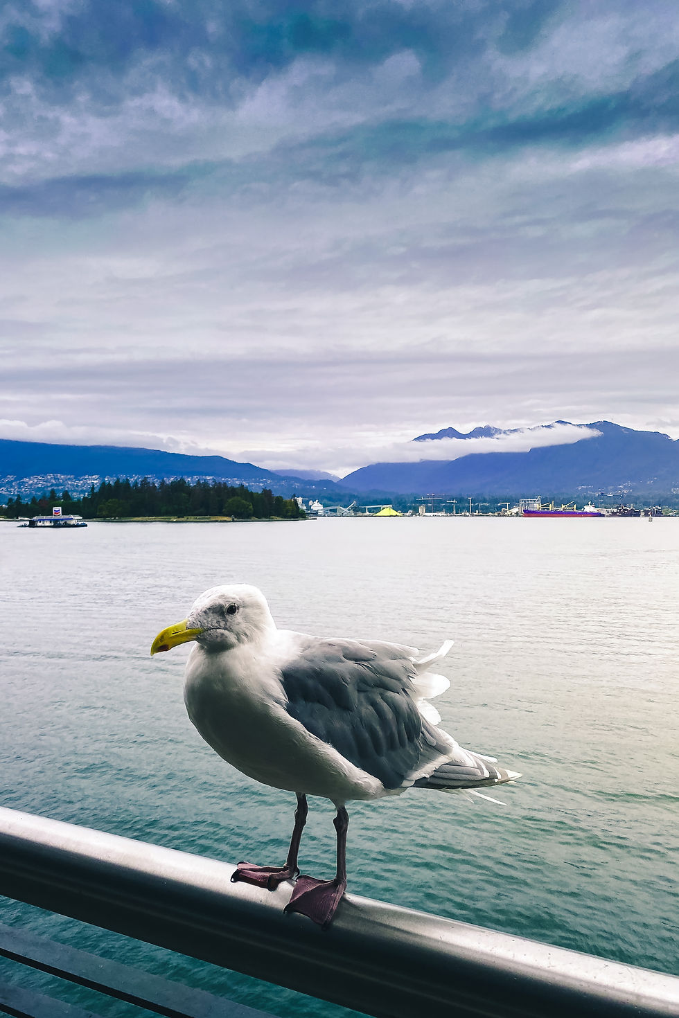 Miniature : Vancouver vibes prints - Set of 2.