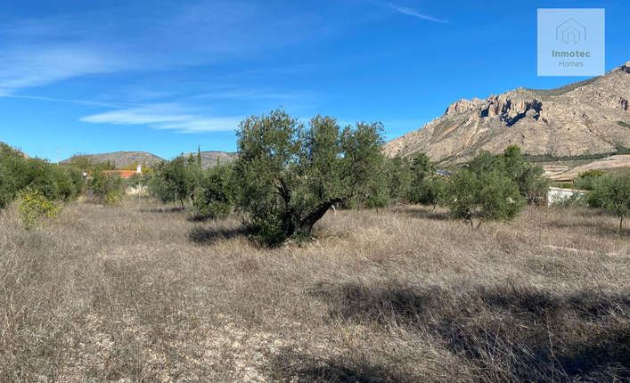 Rustic plot with olive trees and countryside views in Andalusia