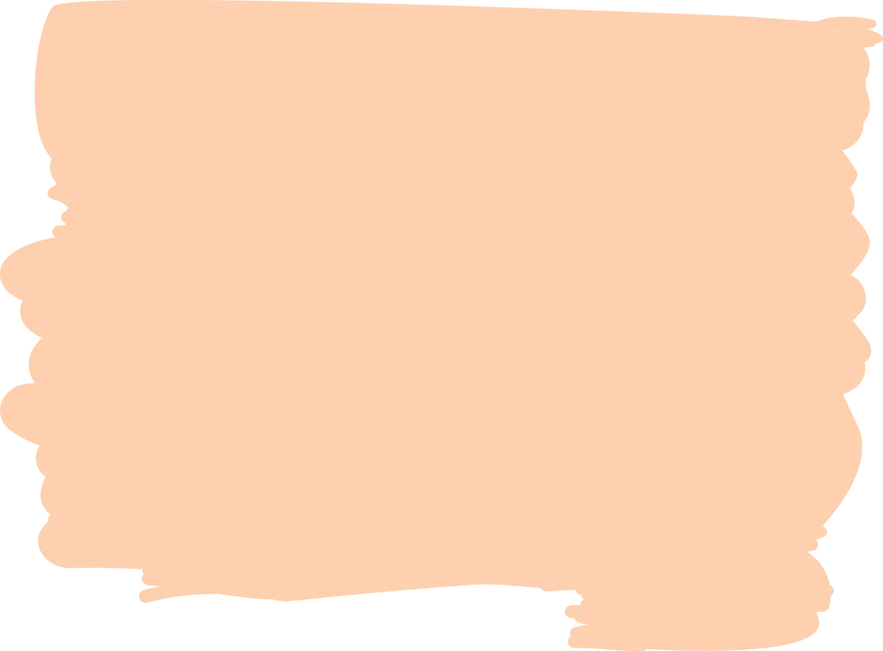 Orange square with a gray border; represents the country of Ivory Coast.