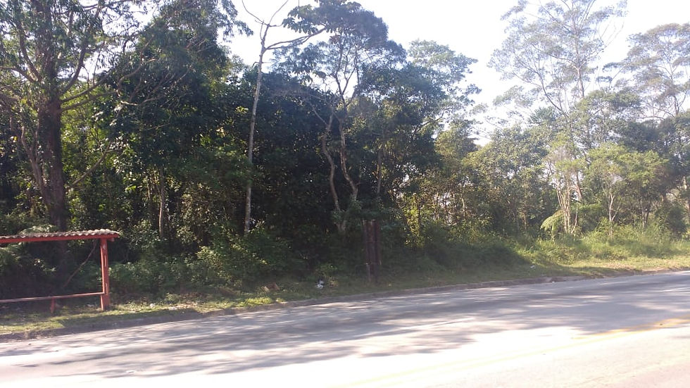 Terreno em Itapecerica