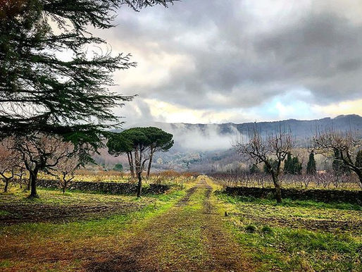 The Valley in wonderland