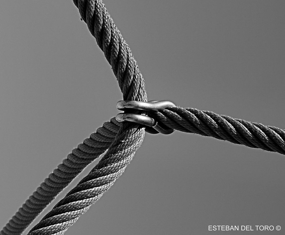 EXPOSICIÓN ATADURAS OVIEDO ESPAÑA