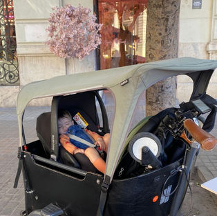 baby sleeping in cargo bike