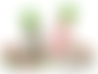 5月末日迄のキャンペーン★