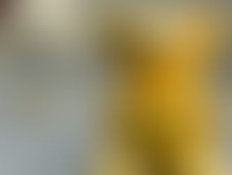 アーユルヴェーダに興味がなくても