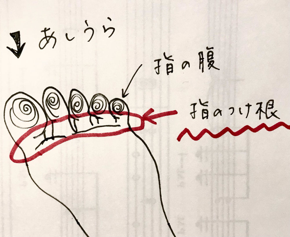 毎日のお手入れ 足裏