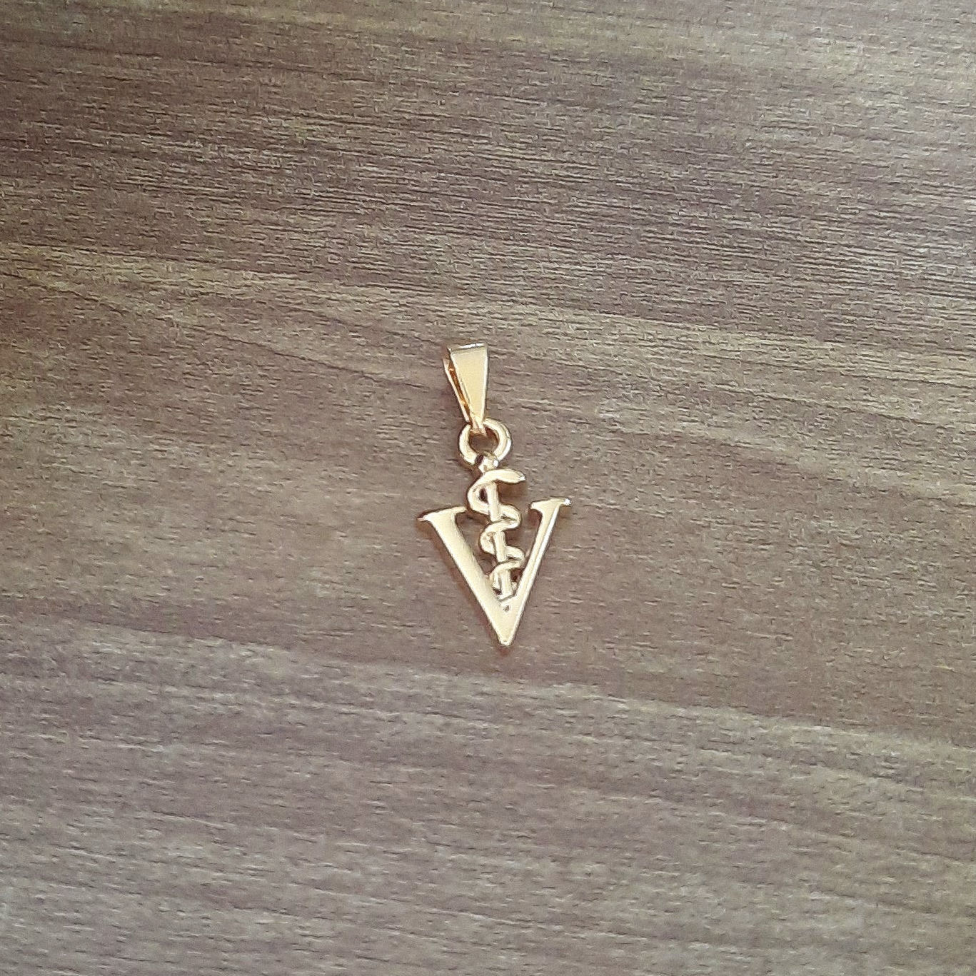 Pingente mini da veterinária  no banho do ouro 18k