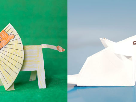 ¿Cola de León o Cabeza de Ratón?