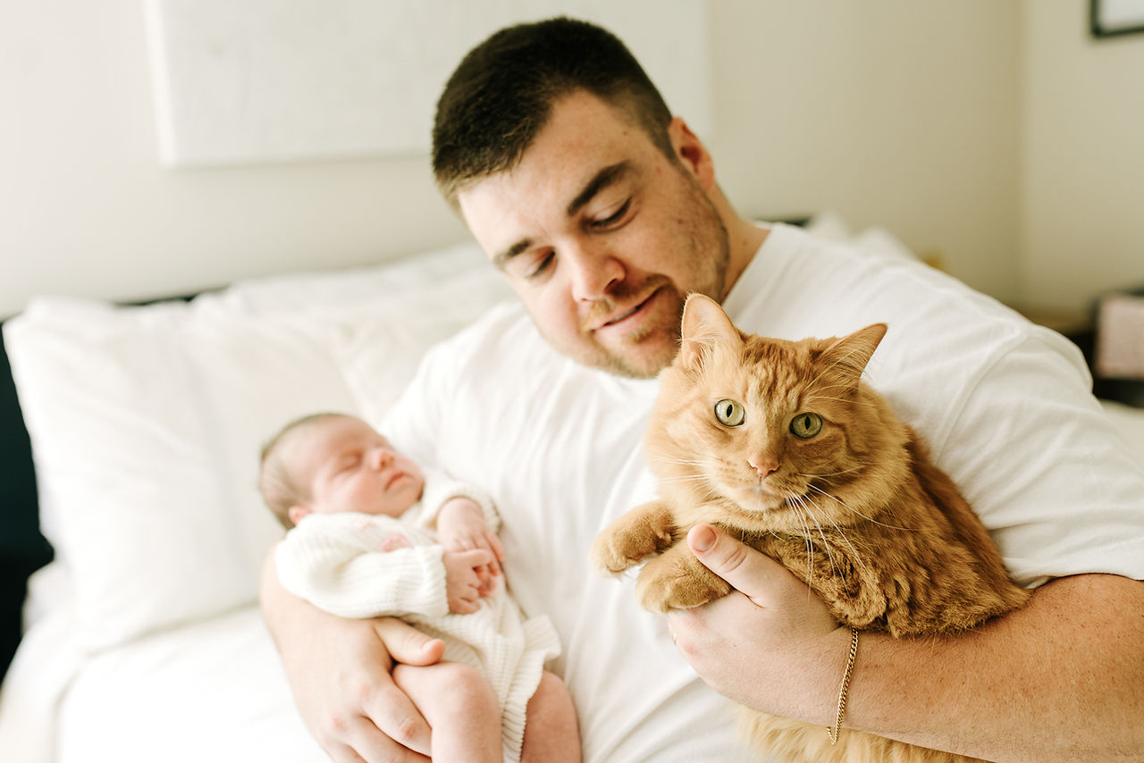 In-home newborn photography in Guelph, Ontario capturing dad cuddling his sleeping baby alongside the family's ginger cat