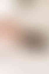 Chocolate bars from Cocoa Beau Chocolate styled during a branding session in a home studio in Guelph, Ontario.