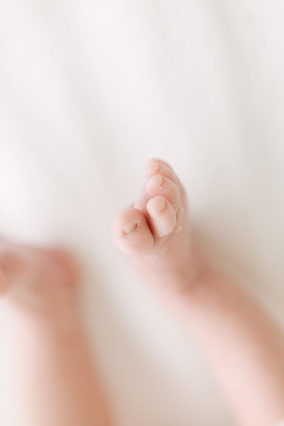 Baby portrait during a newborn session in Guelph, Ontario captured with soft natural styling