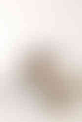 Mom and dad holding newborn baby during a newborn session in Guelph, Ontario with soft studio lighting