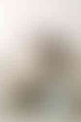 Mom and dad holding newborn baby during a newborn session in Guelph, Ontario with soft studio lighting