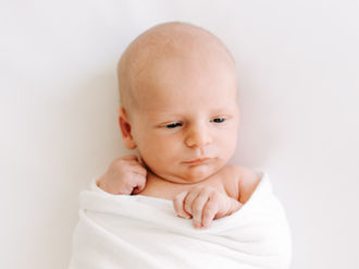 A studio newborn session in Guelph, Ontario featuring newborn baby portraits, coordinated outfits, family portraits with their dog, and a calm, pet-friendly studio experience.