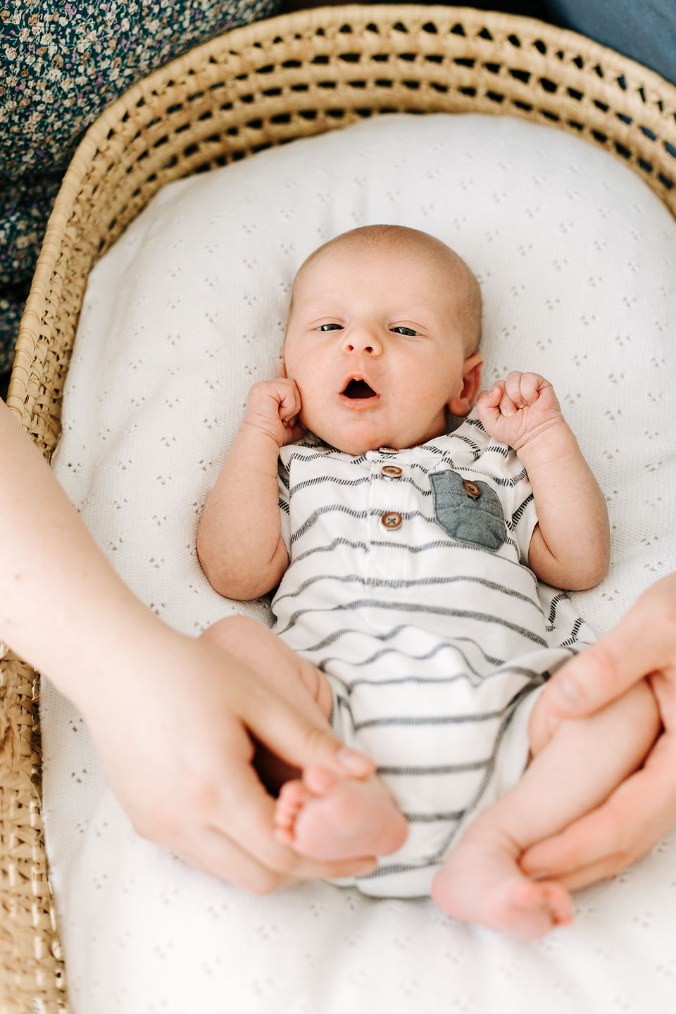 Studio newborn session in Guelph, Ontario featuring newborn baby in a striped outfit resting in a woven bassinet with parents beside them
