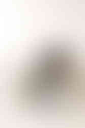 Expecting couple holding the baby bump  in a maternity session at Elle Chic Photography Studio, Guelph