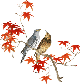 cuckoo & nightingale.png