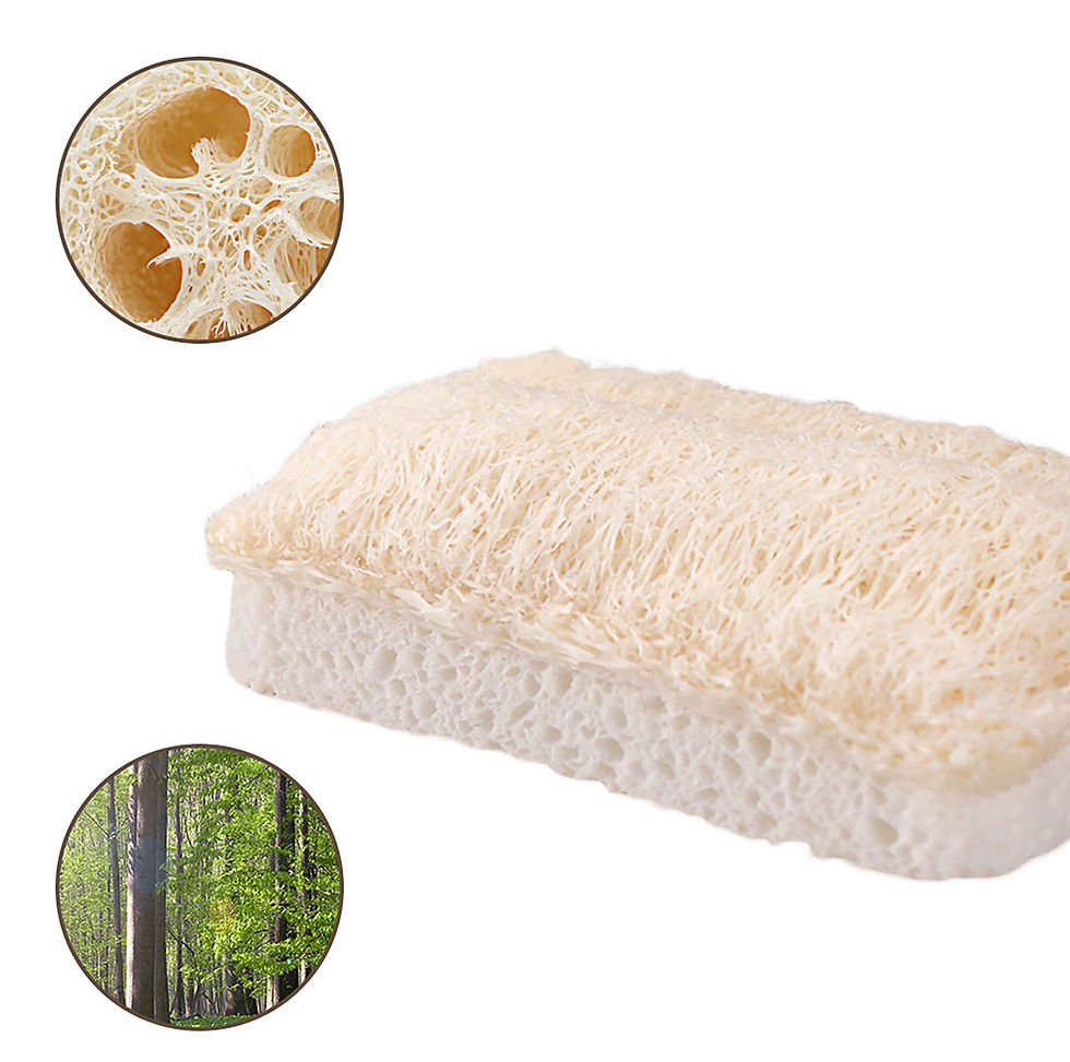 Thumbnail: Loofah Sponge Scourer Sustainable Kitchen Dishwashing | 2 Pack