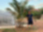 De Neng CSF Farm Manager.jpg