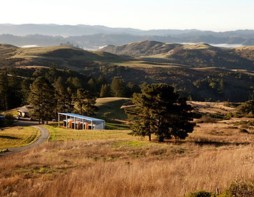 djerasi nature residency.jpg