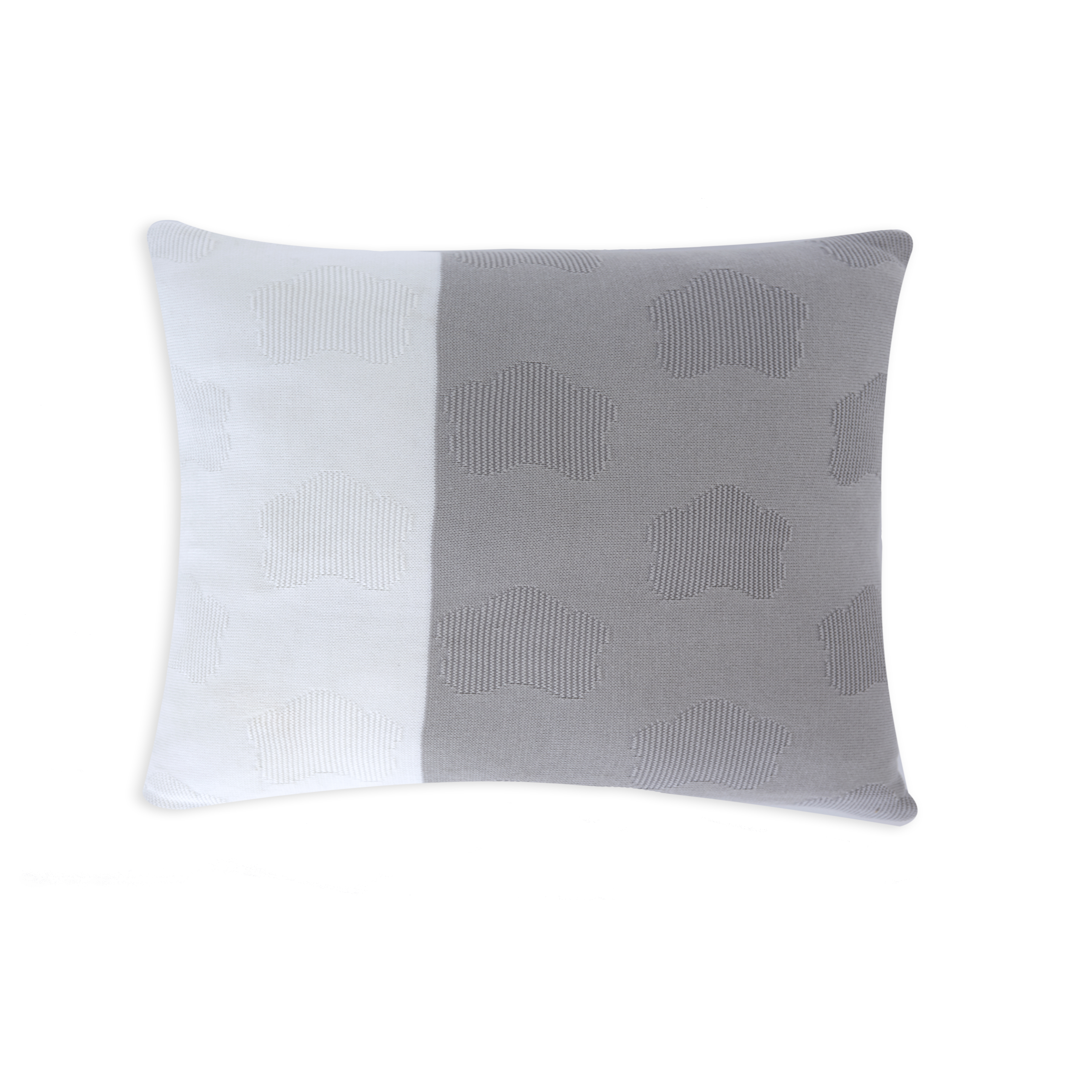 Nube Gris