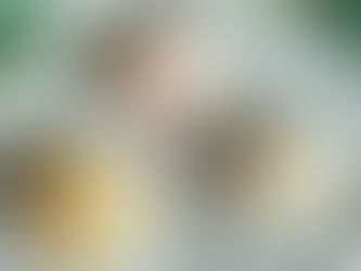 Unveiling the Radiance of Orange Calcite: A Gemstone of Positivity and Creativity