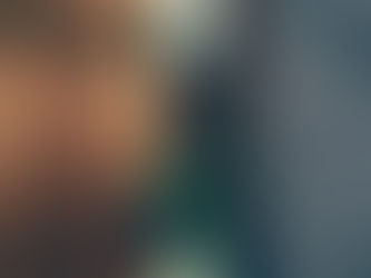 Vagysčių banga stiprėja - ar jūsų namuose ir biure įrengta signalizacija?