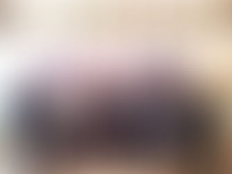 Seimo komiteto delegacija Lenkijoje aptaria civilinę saugą, krizių valdymą