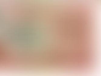 Medininkuose sulaikyta keleivė su SSRS simbolika pažymėtais pinigais