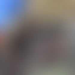 NŽT gavo 68 skundus ir pradėjo 53 tyrimus dėl matininkų veiklos