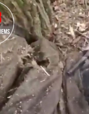 Rimo Armaičio interviu - karo mediko kasdienybė nepertraukiamoje mūšio aplinkoje